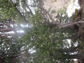 photo coins arrondis